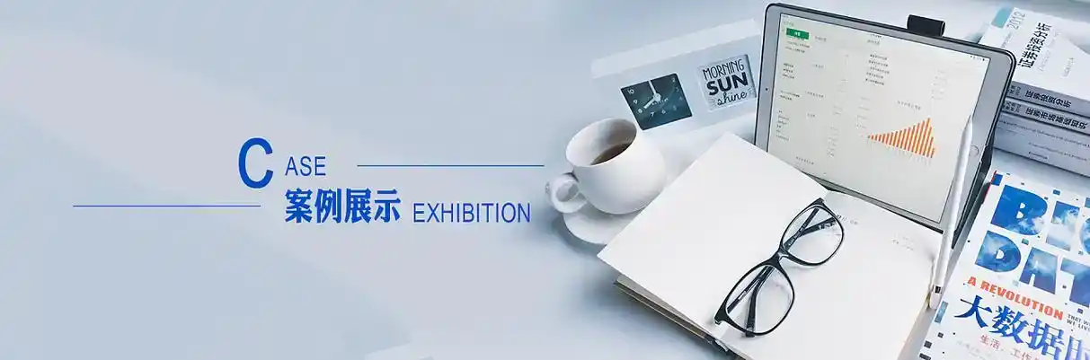 高邑县软件开发